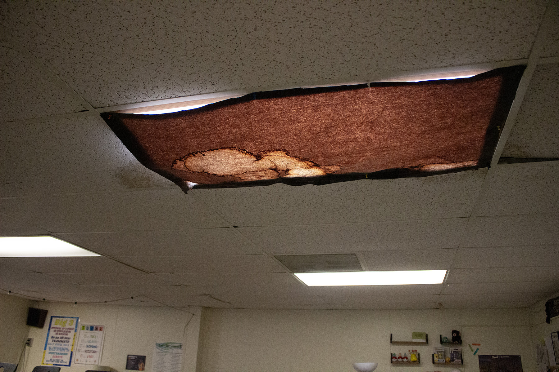 BMS%20Ceiling%20copy BMS%20Ceiling%20copy